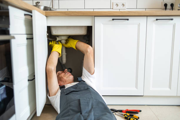 Best Local Plumber Services  in Dawsonville, GA